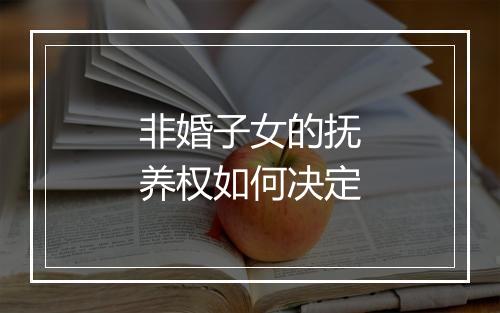 非婚子女的抚养权如何决定