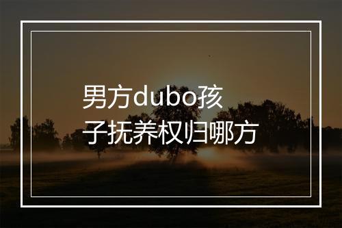 男方dubo孩子抚养权归哪方