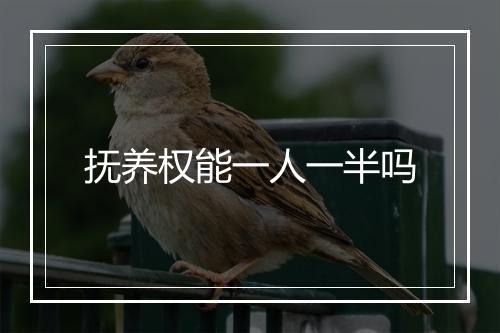 抚养权能一人一半吗