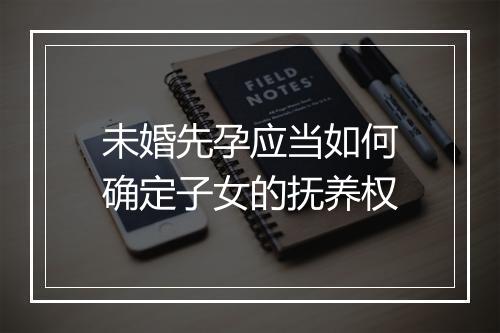 未婚先孕应当如何确定子女的抚养权