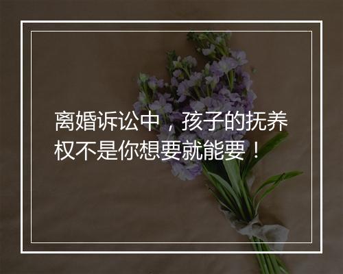 离婚诉讼中，孩子的抚养权不是你想要就能要！