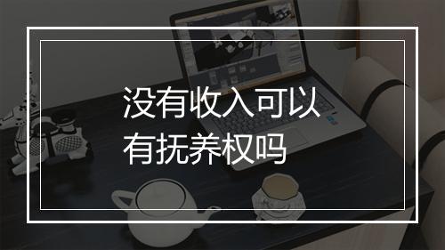 没有收入可以有抚养权吗
