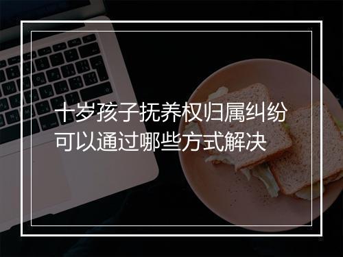 十岁孩子抚养权归属纠纷可以通过哪些方式解决