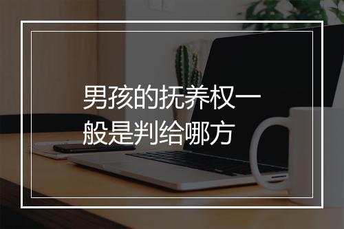 男孩的抚养权一般是判给哪方