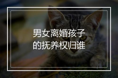 男女离婚孩子的抚养权归谁