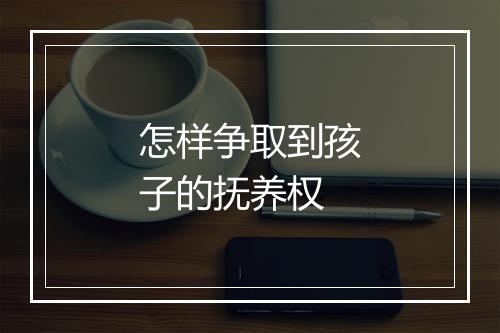 怎样争取到孩子的抚养权