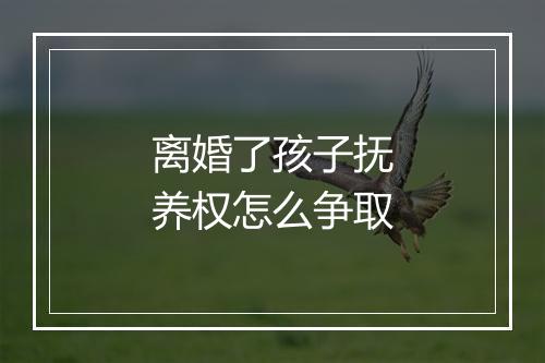 离婚了孩子抚养权怎么争取