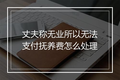 丈夫称无业所以无法支付抚养费怎么处理