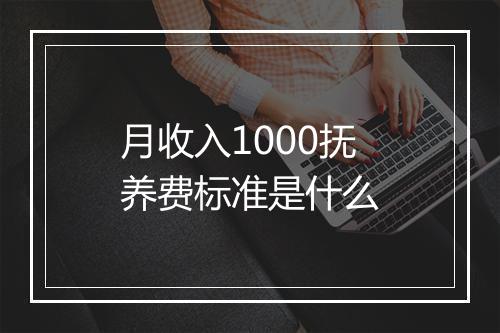 月收入1000抚养费标准是什么