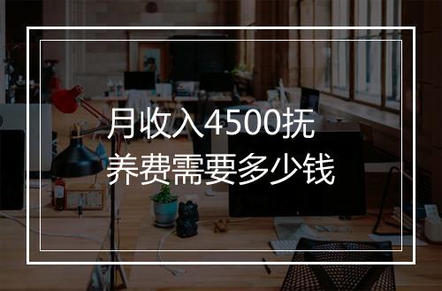 月收入4500抚养费需要多少钱