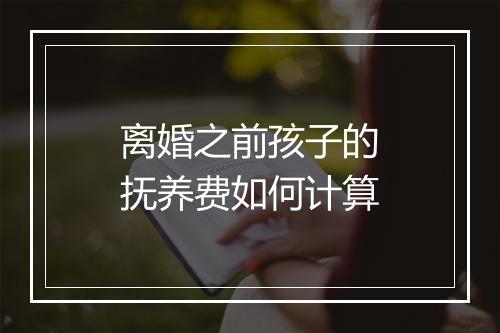 离婚之前孩子的抚养费如何计算