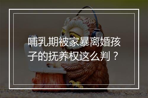 哺乳期被家暴离婚孩子的抚养权这么判？