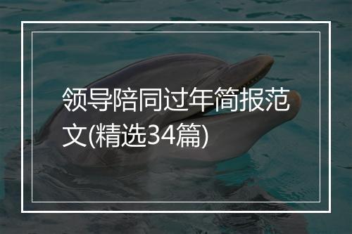 领导陪同过年简报范文(精选34篇)