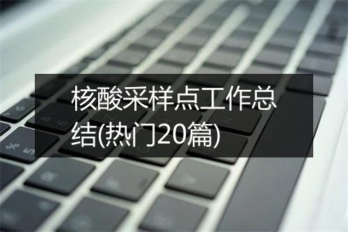 核酸采样点工作总结(热门20篇)