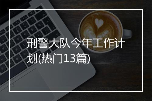 刑警大队今年工作计划(热门13篇)