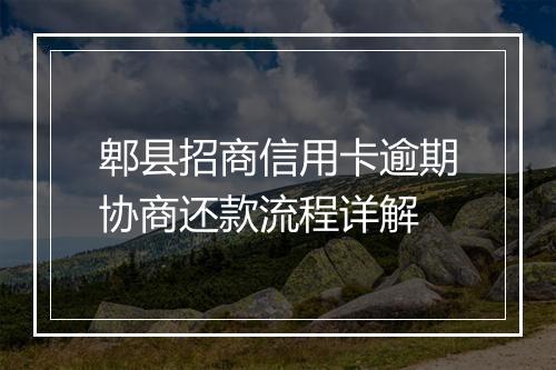 郫县招商信用卡逾期协商还款流程详解