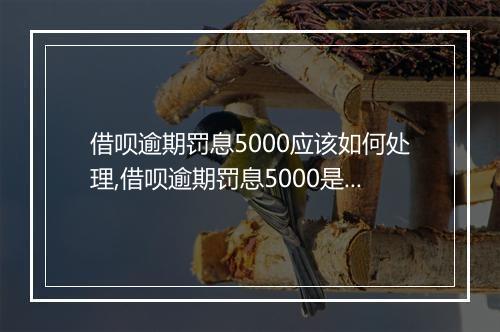 借呗逾期罚息5000应该如何处理,借呗逾期罚息5000是否可以不还