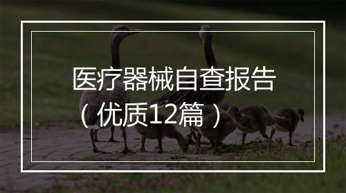 医疗器械自查报告（优质12篇）