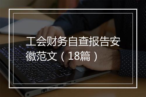 工会财务自查报告安徽范文（18篇）
