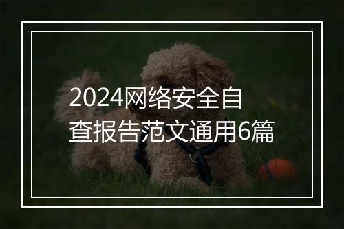 2024网络安全自查报告范文通用6篇