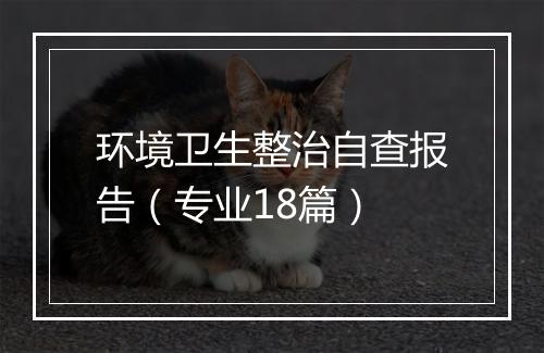环境卫生整治自查报告（专业18篇）