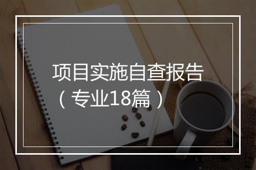 项目实施自查报告（专业18篇）