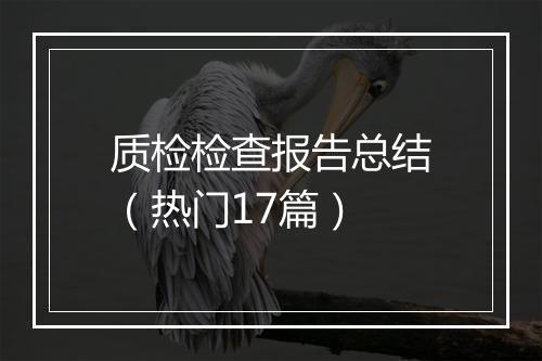 质检检查报告总结（热门17篇）
