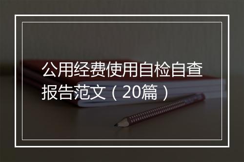公用经费使用自检自查报告范文（20篇）