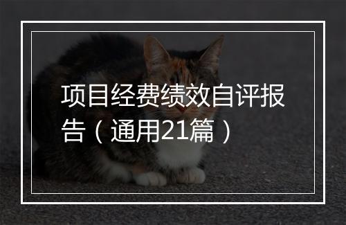 项目经费绩效自评报告（通用21篇）