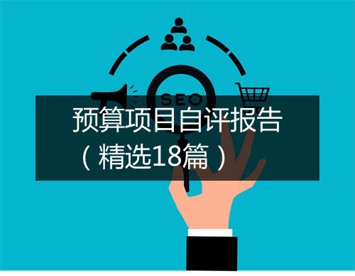 预算项目自评报告（精选18篇）