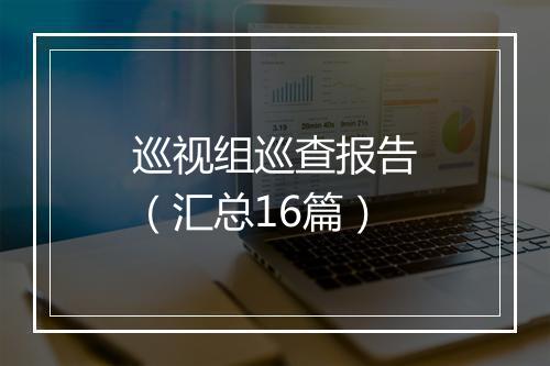 巡视组巡查报告（汇总16篇）