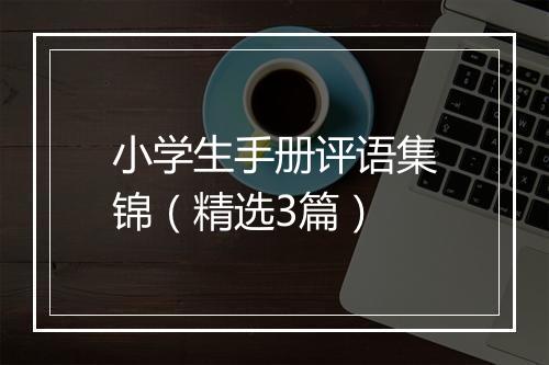 小学生手册评语集锦（精选3篇）