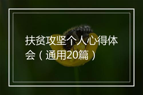 扶贫攻坚个人心得体会（通用20篇）
