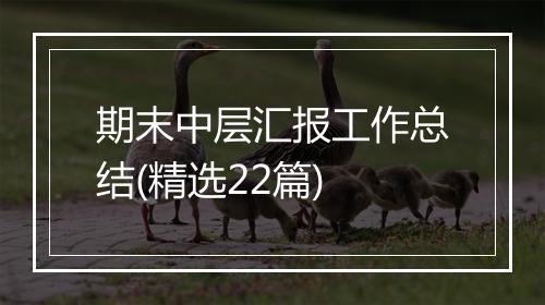 期末中层汇报工作总结(精选22篇)