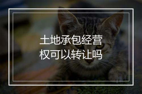土地承包经营权可以转让吗