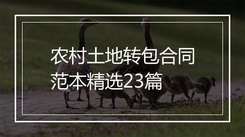 农村土地转包合同范本精选23篇