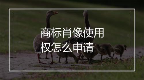 商标肖像使用权怎么申请