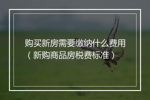 购买新房需要缴纳什么费用（新购商品房税费标准）