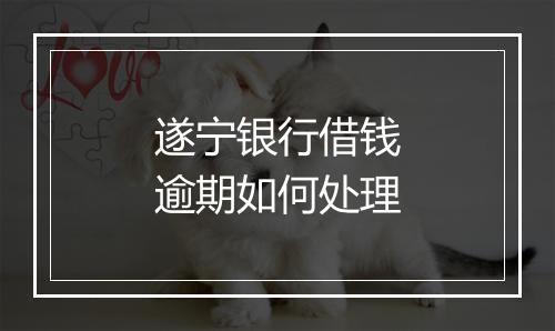 遂宁银行借钱逾期如何处理