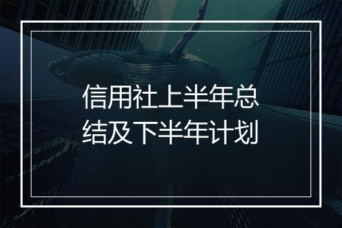 信用社上半年总结及下半年计划