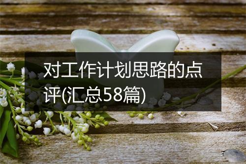 对工作计划思路的点评(汇总58篇)