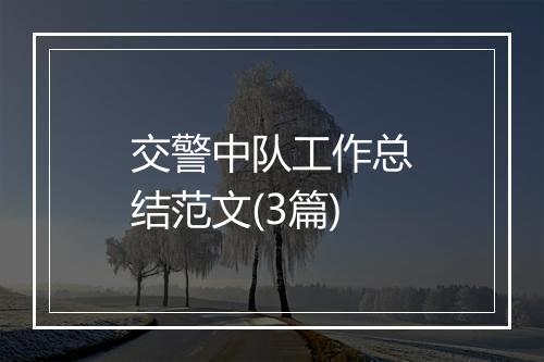 交警中队工作总结范文(3篇)