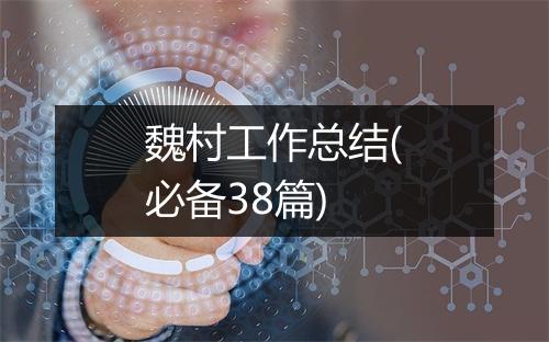 魏村工作总结(必备38篇)