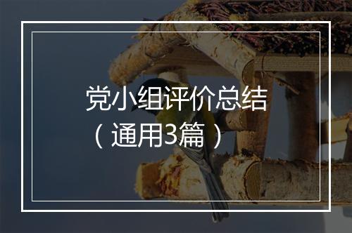 党小组评价总结（通用3篇）