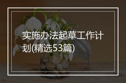 实施办法起草工作计划(精选53篇)