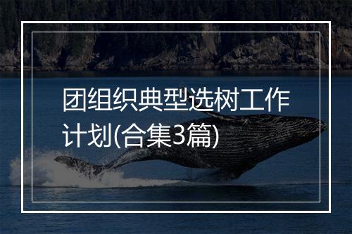 团组织典型选树工作计划(合集3篇)