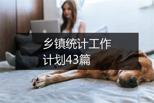 乡镇统计工作计划43篇