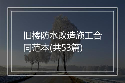 旧楼防水改造施工合同范本(共53篇)