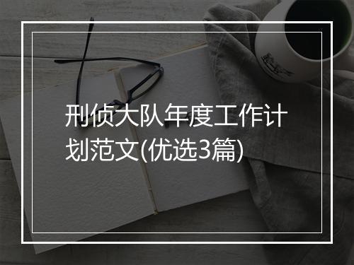 刑侦大队年度工作计划范文(优选3篇)