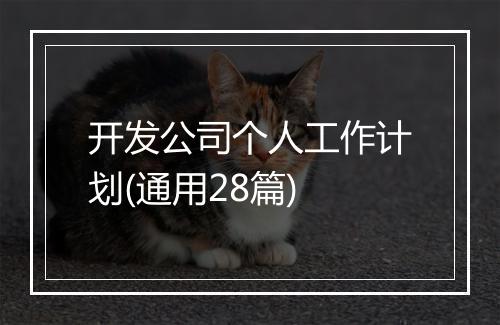 开发公司个人工作计划(通用28篇)